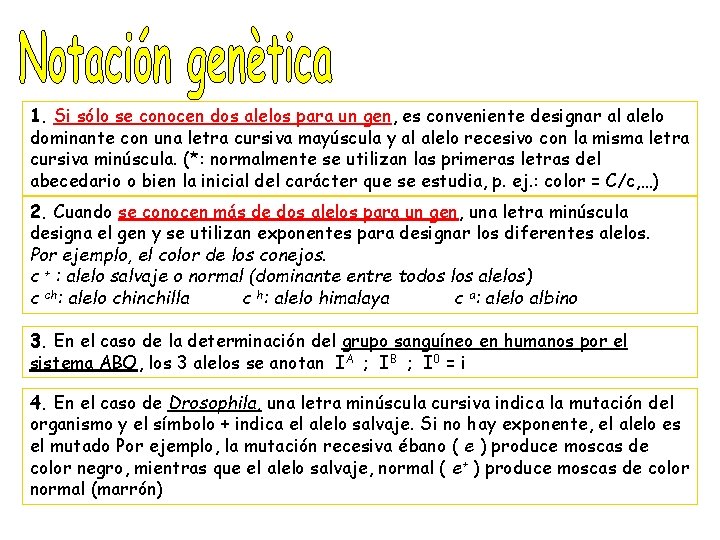 1. Si sólo se conocen dos alelos para un gen, es conveniente designar al