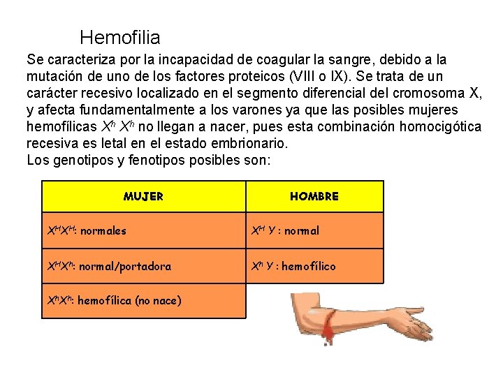  Hemofilia Se caracteriza por la incapacidad de coagular la sangre, debido a la