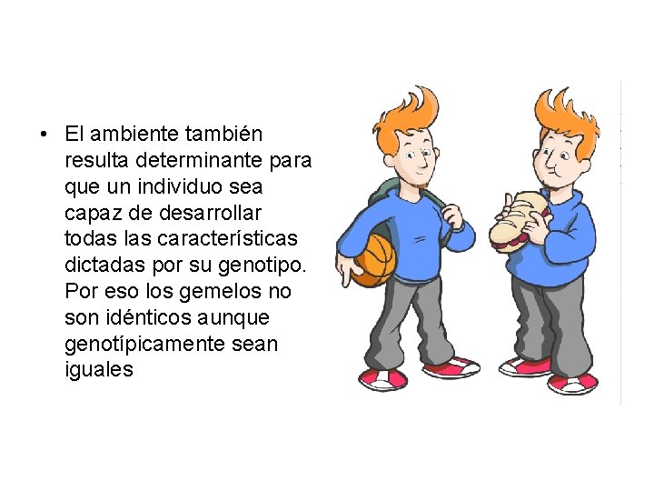  • El ambiente también resulta determinante para que un individuo sea capaz de