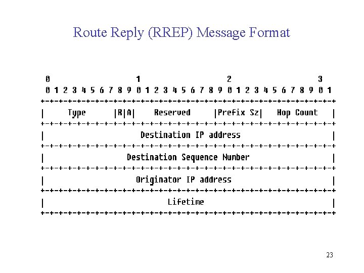 Route Reply (RREP) Message Format 23 
