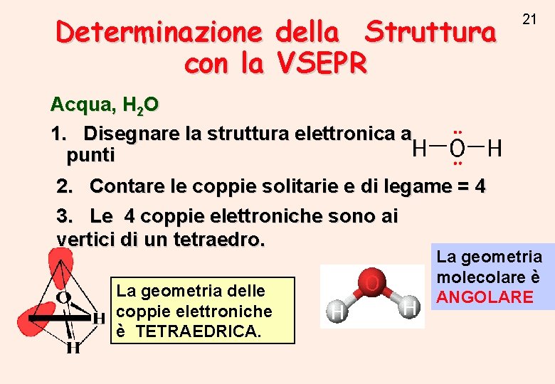 Determinazione della Struttura con la VSEPR 21 Acqua, H 2 O 1. Disegnare la Determinazione della Struttura con la VSEPR 21 Acqua, H 2 O 1. Disegnare la