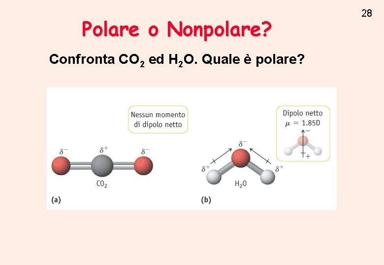Polare o Nonpolare? Confronta CO 2 ed H 2 O. Quale è polare? 28 Polare o Nonpolare? Confronta CO 2 ed H 2 O. Quale è polare? 28