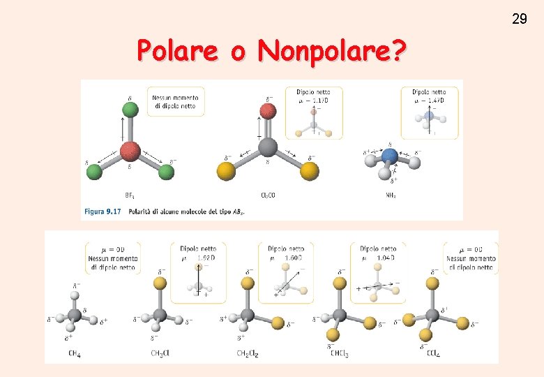 29 Polare o Nonpolare? 29 Polare o Nonpolare?