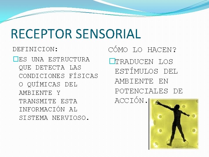 RECEPTOR SENSORIAL DEFINICION: �ES UNA ESTRUCTURA QUE DETECTA LAS CONDICIONES FÍSICAS O QUÍMICAS DEL