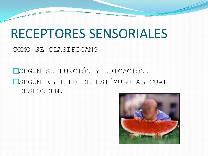 RECEPTORES SENSORIALES CÓMO SE CLASIFICAN? �SEGÚN SU FUNCIÓN Y UBICACION. �SEGÚN EL TIPO DE