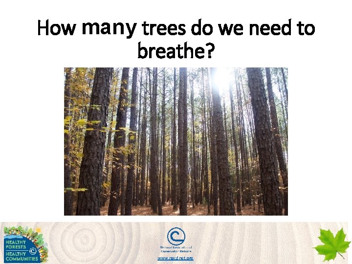 How many trees do we need to breathe? www. nacdnet. org 