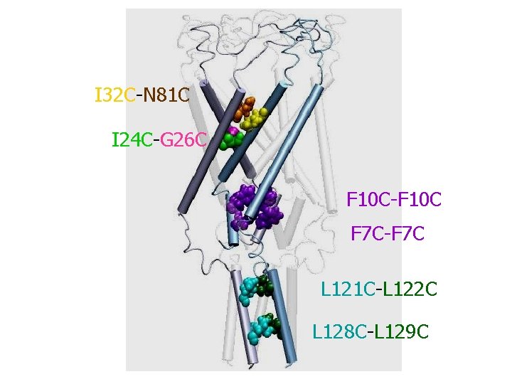 I 32 C-N 81 C I 24 C-G 26 C F 10 C-F 10 I 32 C-N 81 C I 24 C-G 26 C F 10 C-F 10