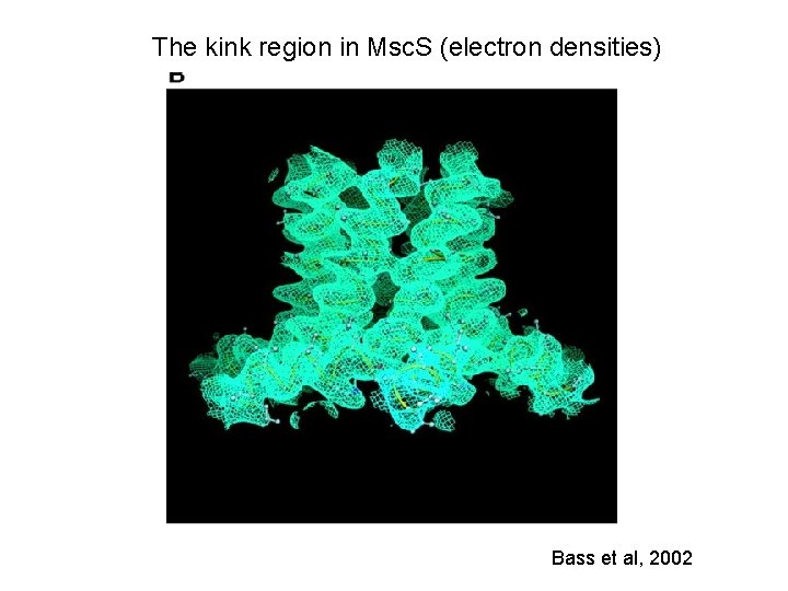 The kink region in Msc. S (electron densities) Bass et al, 2002 The kink region in Msc. S (electron densities) Bass et al, 2002