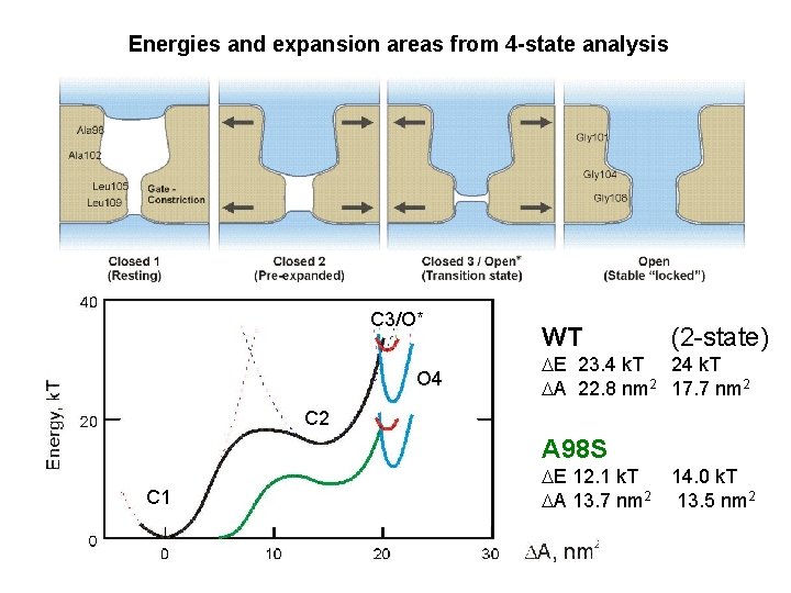 Energies and expansion areas from 4 -state analysis C 3/O* O 4 WT (2 Energies and expansion areas from 4 -state analysis C 3/O* O 4 WT (2