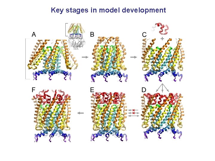 Key stages in model development Key stages in model development