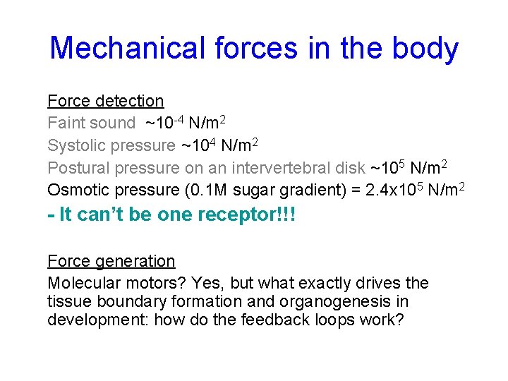 Mechanical forces in the body Force detection Faint sound ~10 -4 N/m 2 Systolic Mechanical forces in the body Force detection Faint sound ~10 -4 N/m 2 Systolic