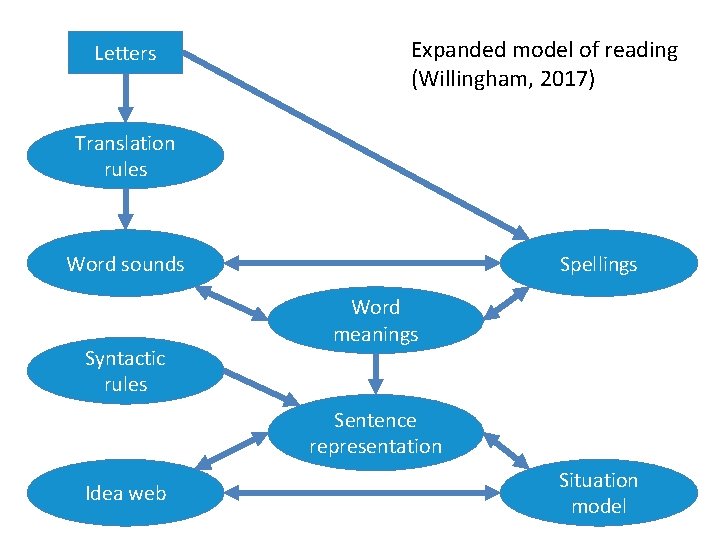 Letters Expanded model of reading (Willingham, 2017) Translation rules Word sounds Syntactic rules Spellings