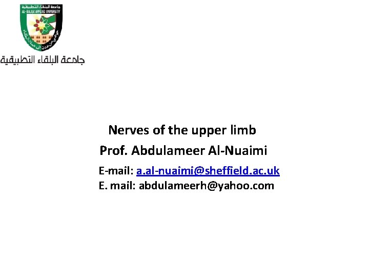 Nerves of the upper limb Prof. Abdulameer Al-Nuaimi E-mail: a. al-nuaimi@sheffield. ac. uk E.