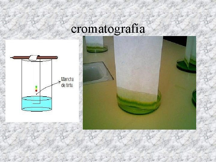 cromatografía 