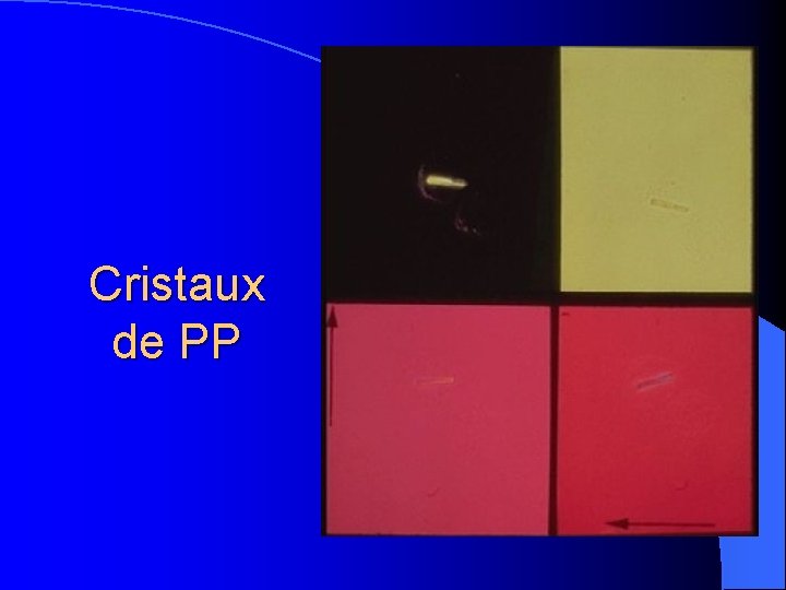 Cristaux de PP 