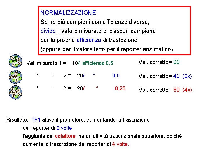 NORMALIZZAZIONE: Se ho più campioni con efficienze diverse, divido il valore misurato di ciascun