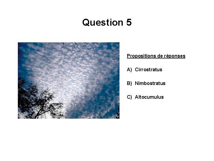 Question 5 Propositions de réponses A) Cirrostratus B) Nimbostratus C) Altocumulus 
