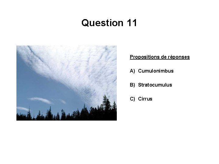 Question 11 Propositions de réponses A) Cumulonimbus B) Stratocumulus C) Cirrus 