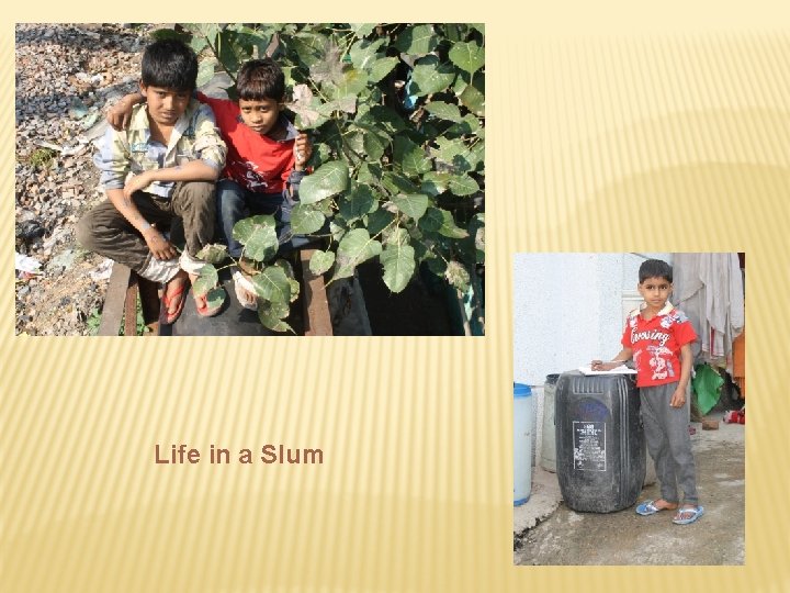 Life in a Slum 