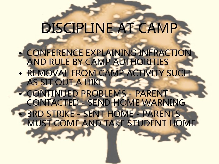 DISCIPLINE AT CAMP • CONFERENCE EXPLAINING INFRACTION AND RULE BY CAMP AUTHORITIES • REMOVAL