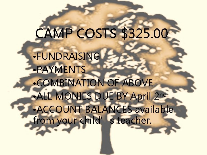 CAMP COSTS $325. 00 • FUNDRAISING • PAYMENTS • COMBINATION OF ABOVE • ALL