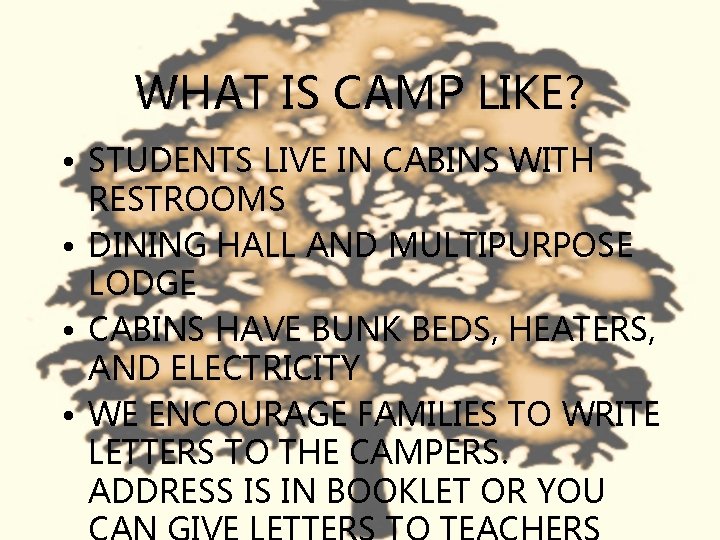 WHAT IS CAMP LIKE? • STUDENTS LIVE IN CABINS WITH RESTROOMS • DINING HALL