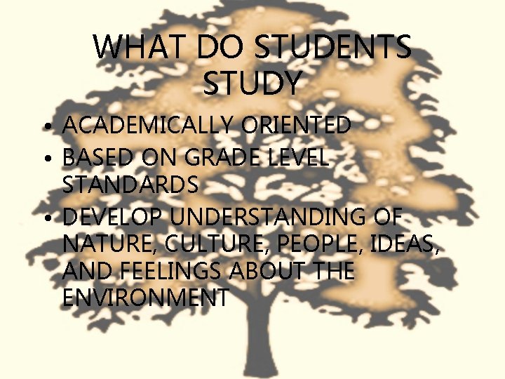 WHAT DO STUDENTS STUDY • ACADEMICALLY ORIENTED • BASED ON GRADE LEVEL STANDARDS •