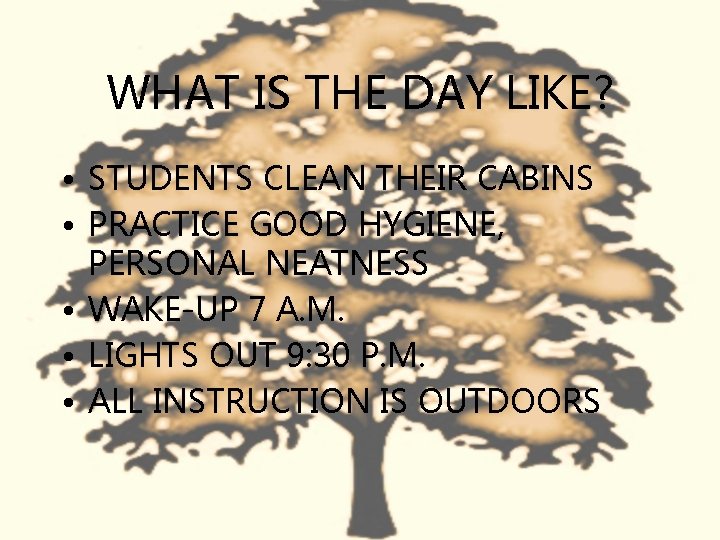 WHAT IS THE DAY LIKE? • STUDENTS CLEAN THEIR CABINS • PRACTICE GOOD HYGIENE,