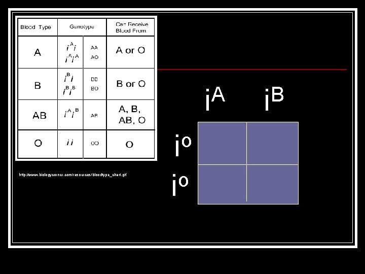 A i o i http: //www. biologycorner. com/resources/bloodtype_chart. gif o i B i 