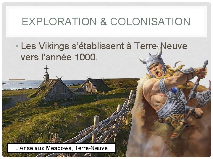 EXPLORATION & COLONISATION • Les Vikings s’établissent à Terre-Neuve vers l’année 1000. L’Anse aux