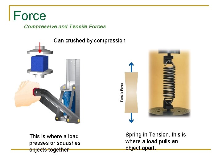 Force Compressive and Tensile Forces Can crushed by compression This is where a load