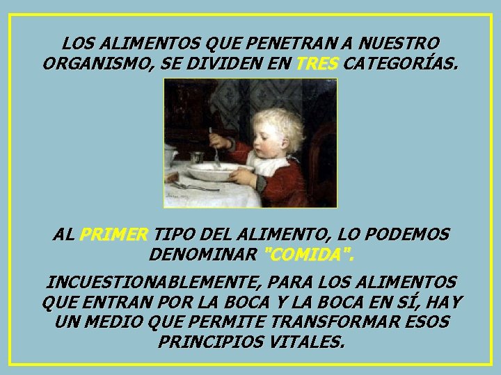 LOS ALIMENTOS QUE PENETRAN A NUESTRO ORGANISMO, SE DIVIDEN EN TRES CATEGORÍAS. AL PRIMER