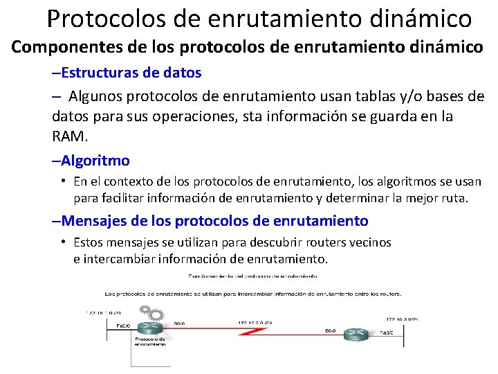 Protocolos de enrutamiento dinámico Componentes de los protocolos de enrutamiento dinámico –Estructuras de datos