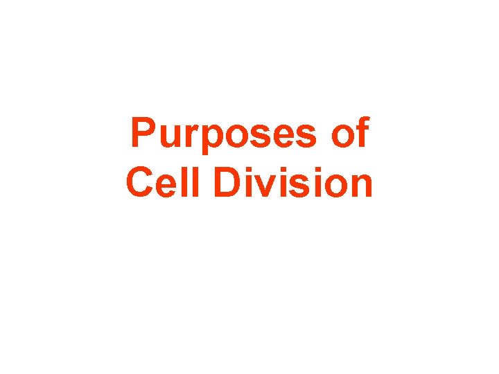Purposes of Cell Division 