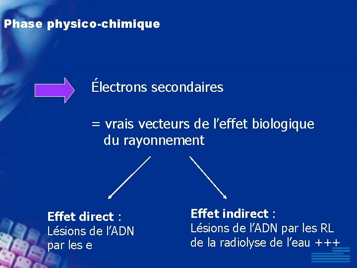 Phase physico-chimique Électrons secondaires = vrais vecteurs de l’effet biologique du rayonnement Effet direct