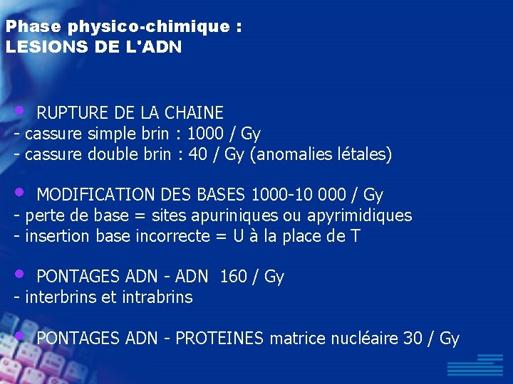Phase physico-chimique : LESIONS DE L'ADN • RUPTURE DE LA CHAINE - cassure simple