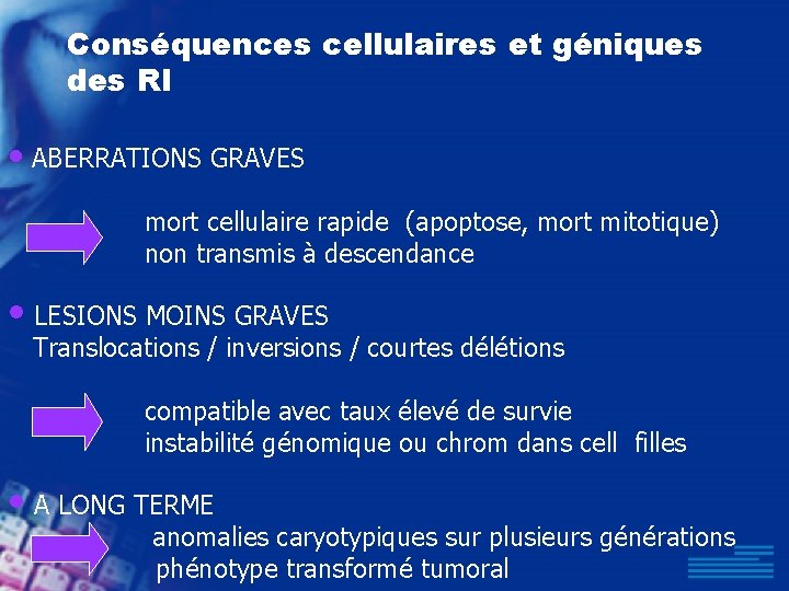 Conséquences cellulaires et géniques des RI • ABERRATIONS GRAVES mort cellulaire rapide (apoptose, mort