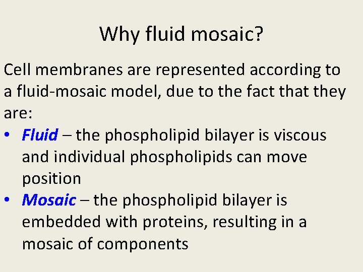 Why fluid mosaic? Cell membranes are represented according to a fluid-mosaic model, due to