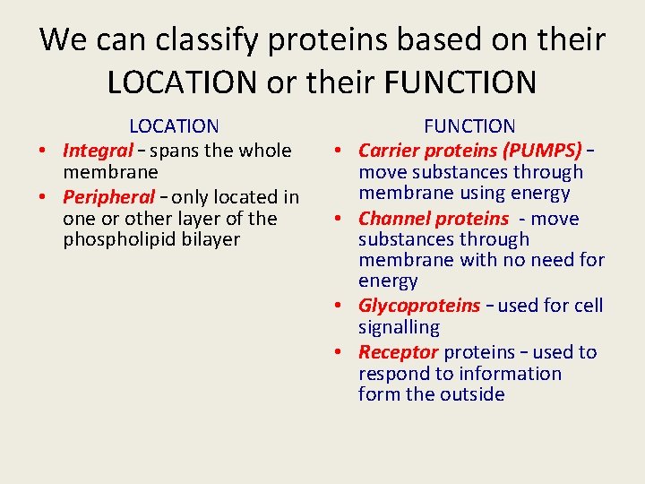 We can classify proteins based on their LOCATION or their FUNCTION LOCATION • Integral