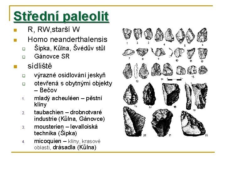 Střední paleolit R, RW, starší W Homo neanderthalensis n n q q Šipka, Kůlna,