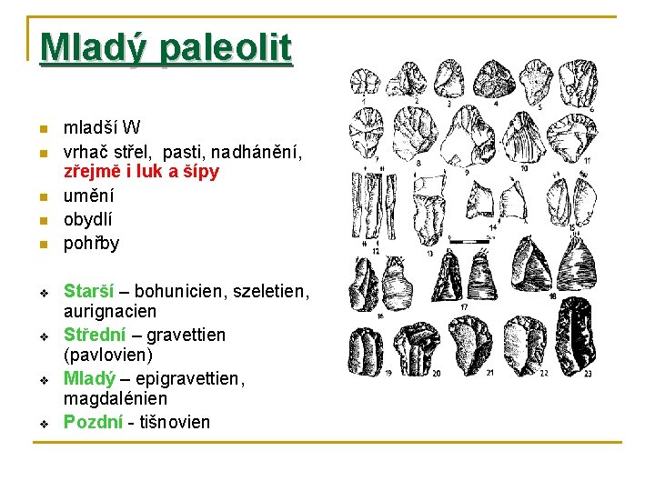 Mladý paleolit n n n v v mladší W vrhač střel, pasti, nadhánění, zřejmě