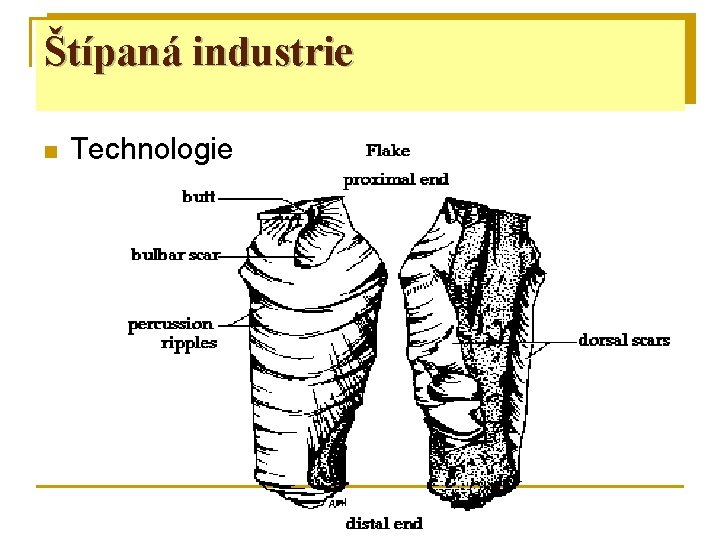 Štípaná industrie n Technologie 