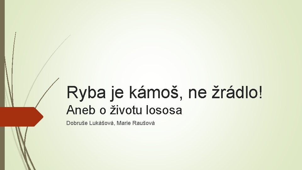 Ryba je kámoš, ne žrádlo! Aneb o životu lososa Dobruše Lukášová, Marie Raušová 