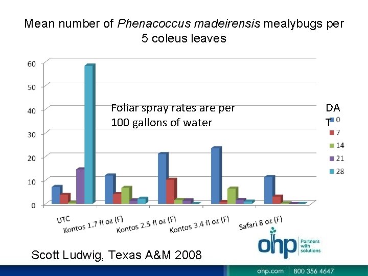 Mean number of Phenacoccus madeirensis mealybugs per 5 coleus leaves Foliar spray rates are Mean number of Phenacoccus madeirensis mealybugs per 5 coleus leaves Foliar spray rates are