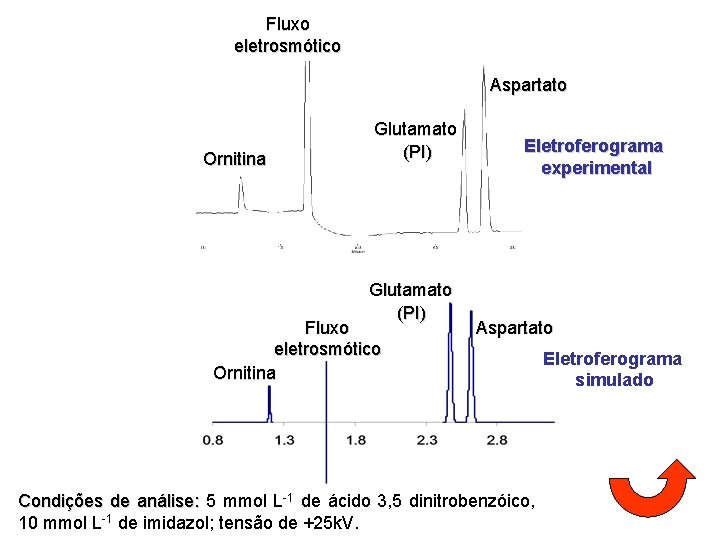 Fluxo eletrosmótico Aspartato Ornitina Glutamato (PI) Fluxo eletrosmótico Ornitina Eletroferograma experimental Aspartato Condições de