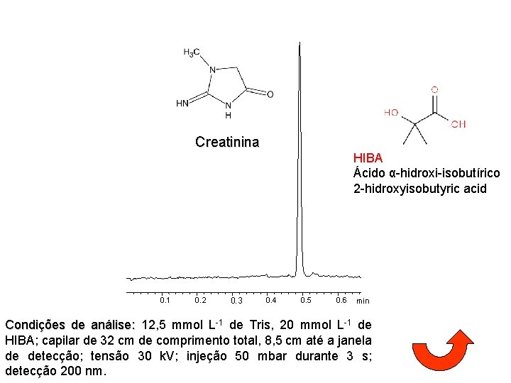 Creatinina HIBA Ácido α-hidroxi-isobutírico 2 -hidroxyisobutyric acid 0. 1 0. 2 0. 3 0.