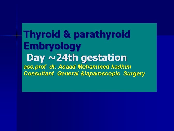 Thyroid & parathyroid Embryology Day ~24 th gestation ass. prof dr. Asaad Mohammed kadhim