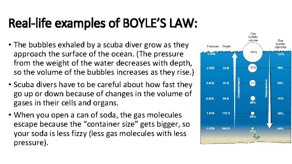 Real-life examples of BOYLE’S LAW: • The bubbles exhaled by a scuba diver grow