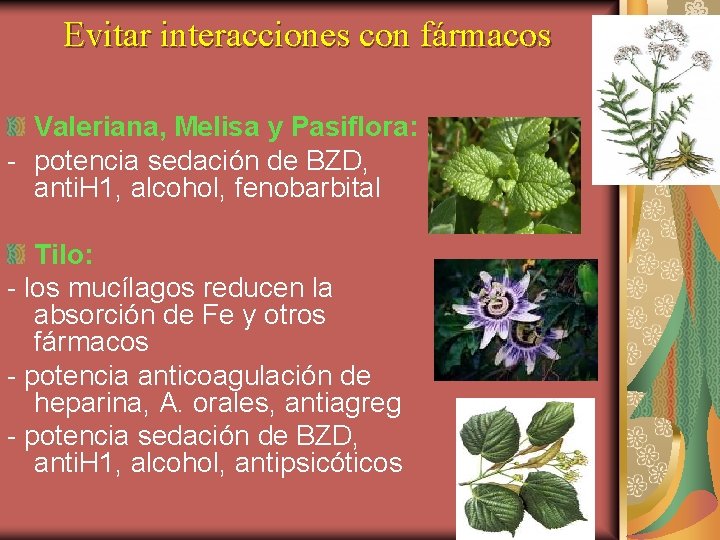 Evitar interacciones con fármacos Valeriana, Melisa y Pasiflora: - potencia sedación de BZD, anti.