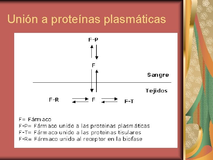 Unión a proteínas plasmáticas 